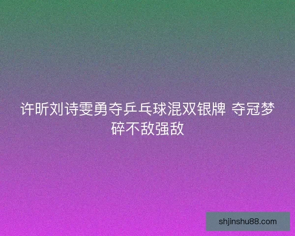 许昕刘诗雯勇夺乒乓球混双银牌 夺冠梦碎不敌强敌