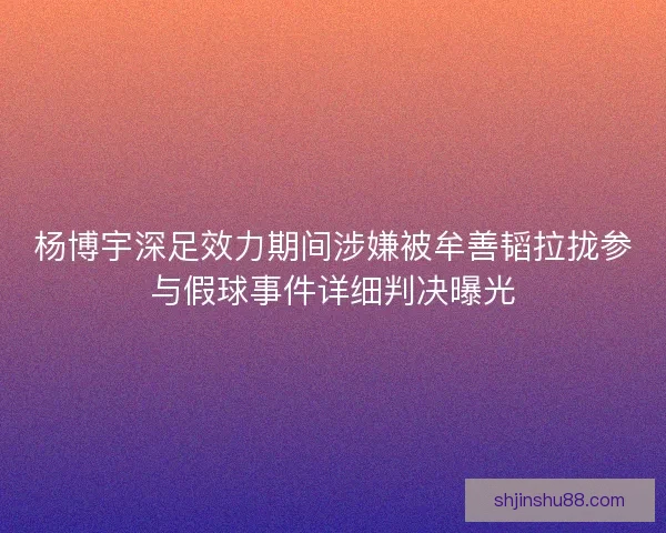 杨博宇深足效力期间涉嫌被牟善韬拉拢参与假球事件详细判决曝光